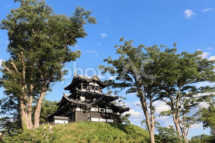 続日本百名城、高田城・三階櫓を訪ねる 続日本百名城,高田城,三階櫓の写真素材