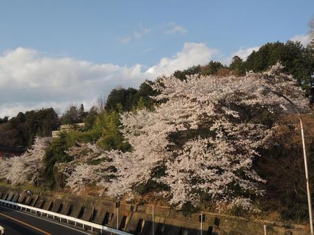 Sakura National Highway, JPG Sakura National Highway, JPG