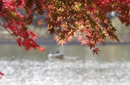 秋の風景 秋の風景の写真