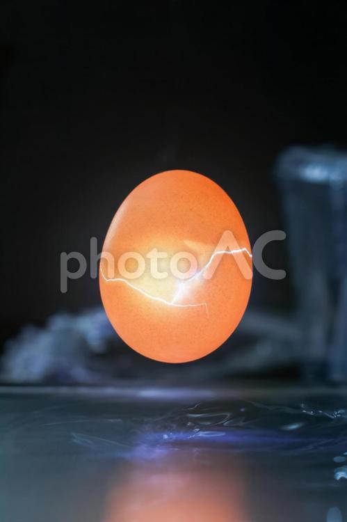 卵のイメージ 卵,イメージ,卵のイメージの写真素材