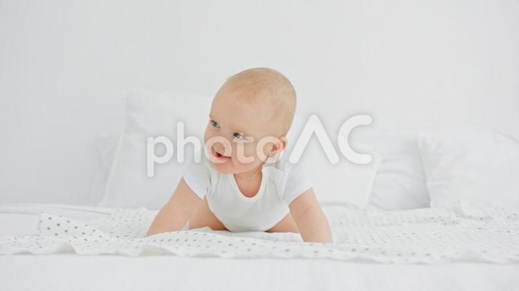 ハイハイのポーズで振り向き笑う赤ちゃん 赤ちゃん,かわいい,ハイハイの写真素材