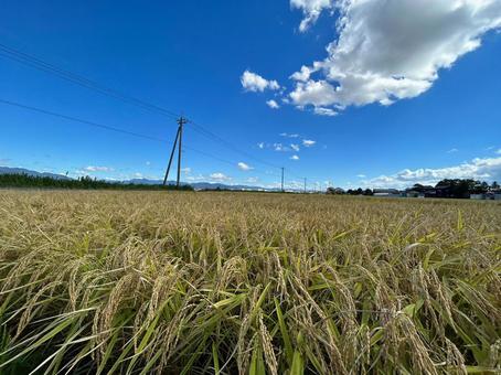田園風景 田園風景の写真