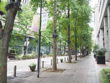 丸の内の街並み(東京都・千代田区) 丸の内の街並み(東京都・千代田区) 丸の内,東京駅周辺,街並みの写真素材