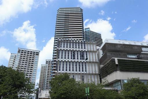 千葉県 柏の葉キャンパスの街並み 千葉県 柏の葉キャンパスの街並み 柏市,千葉県,柏の葉キャンパスの写真素材