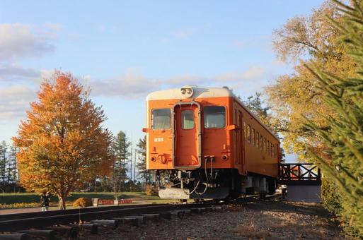 紅葉と列車 幸福駅,電車,紅葉の写真素材