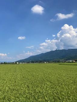 夏の空と雲と山と田んぼ(縦) 夏の空と雲と山と田んぼ(縦)の写真