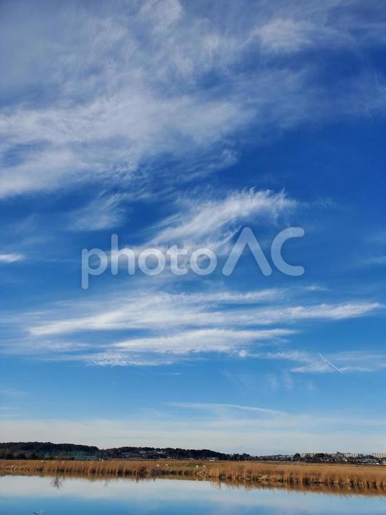 風が吹き抜けるような空 テキストスペース,タイトルスペース,空の写真素材