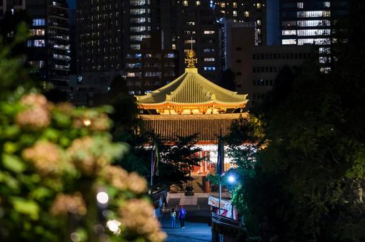 不忍池辯天堂の夜景 不忍池辯天堂,不忍池,上野の写真素材