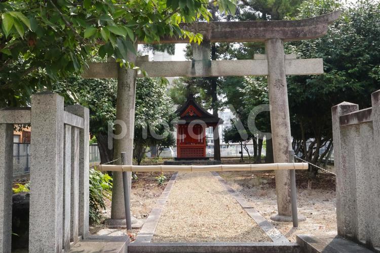 石楽神社本殿　西大寺　鳥居　境内（奈良市 石楽神社,本殿,西大寺の写真素材