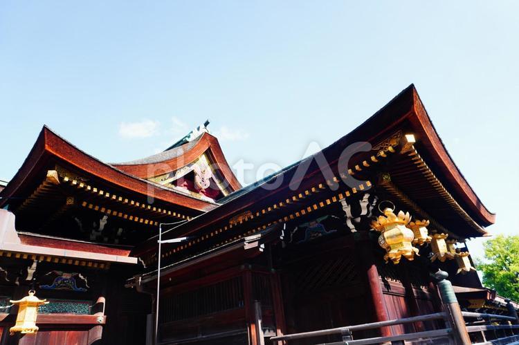 北野天満宮 北野天満宮 京都,北野天満宮,神社の写真素材