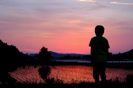 夕焼けと少年 夕焼けと少年の写真