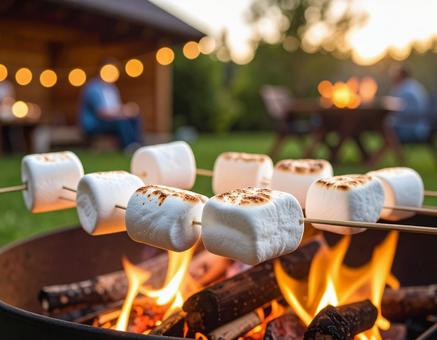 焚火でマシュマロ 焚火でマシュマロの写真