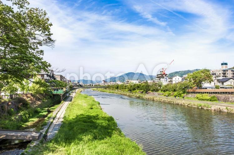 五条大橋から見た鴨川の風景 鴨川,京都,京都府の写真素材