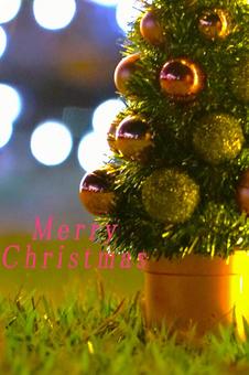芝の上のツリー（英文字） クリスマス,ツリー,芝生の写真素材