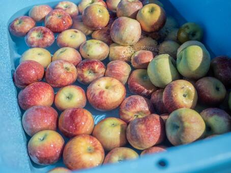 りんご りんご,りんご農家,りんご狩りの写真素材