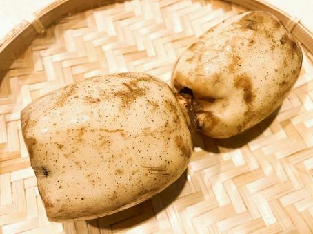レンコン(蓮の地下茎)3 レンコン(蓮の地下茎)3の写真