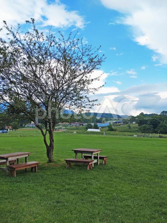 草原の風景・その1 草原,青空,夏の写真素材
