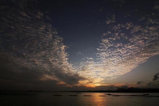 空19 空19の写真
