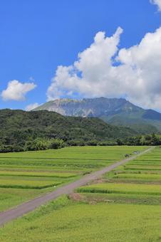夏の御机の棚田 2 夏の御机の棚田 2の写真