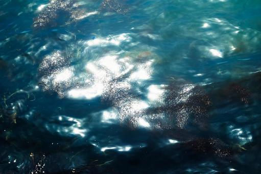 海面 海面の写真