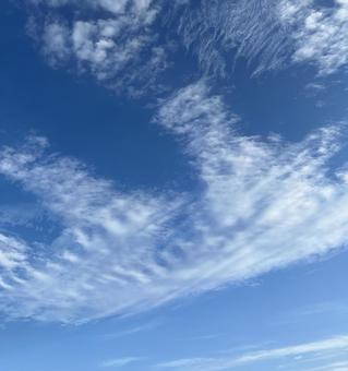 青空の景色 青空の景色の写真