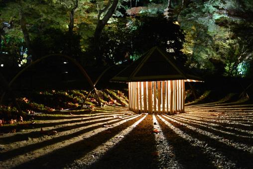 京都 宝泉院 夜 京都 宝泉院 夜 京都,宝泉院,夜の写真素材