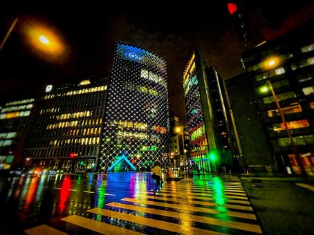 雨上がりの写真