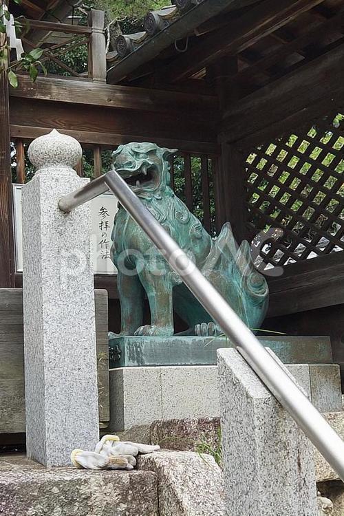 パワースポット　滋賀　蜊江神社⑯狛犬阿形 パワースポット,滋賀県,蜊江神社の写真素材
