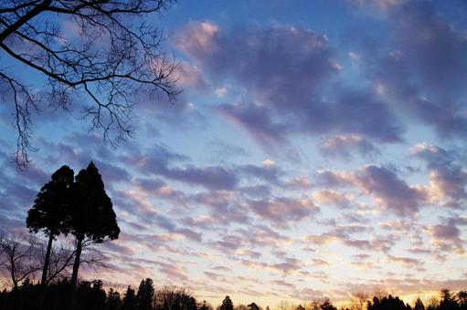 朝焼け 朝焼け 空,雲,朝焼けの写真素材