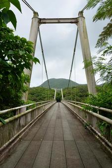 沖縄 県営バンナ公園の吊り橋 聖紫花の橋 沖縄 県営バンナ公園の吊り橋 聖紫花の橋 吊り橋,聖紫花の橋,セイシカの橋の写真素材