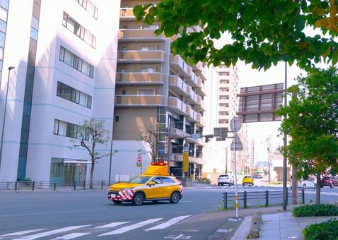 初秋を告げる街路樹 初秋を告げる街路樹 ビル,マンション,グリーンの写真素材