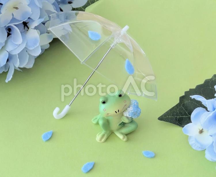 雨の日のカエルくん 梅雨イメージ カエル,雨,傘の写真素材