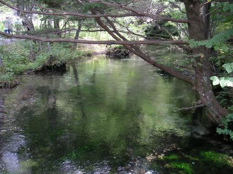 小川 小川 小川,上高地,長野の写真素材