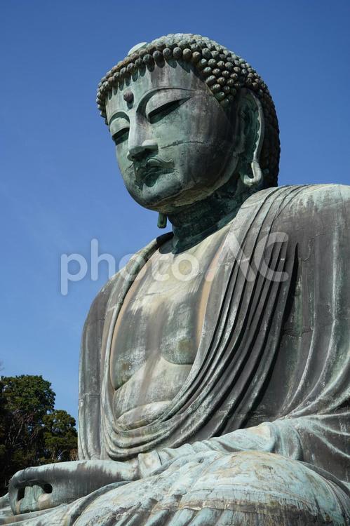 青空と大仏様 鎌倉大仏,大仏,仏像の写真素材