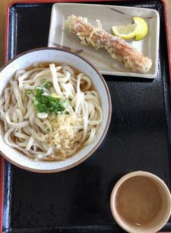 うどん 讃岐うどん,うどん,ウドンの写真素材