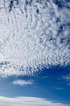 うろこ雲 うろこ雲の写真