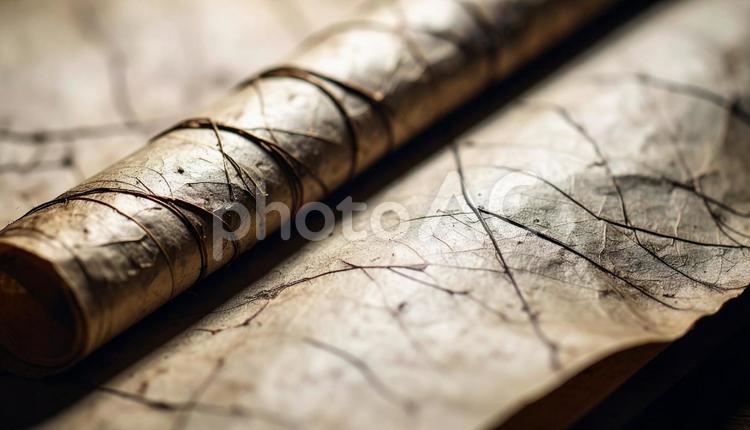 古文書の羊皮紙 羊皮紙,文字,古書の写真素材