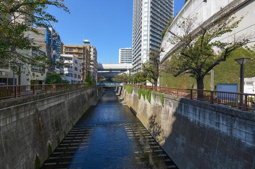 11月の目黒川　万代橋からの景色 川,河川,目黒川の写真素材