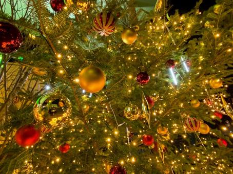 クリスマスツリー クリスマスツリー クリスマス,クリスマスツリー,イルミネーションの写真素材