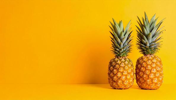 夏夏のギフトのイメージ パイナップル 夏夏のギフトのイメージ パイナップルの写真