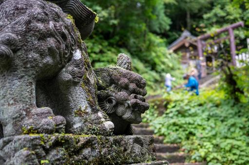 戸隠神社 奥社の狛犬 戸隠神社 奥社の狛犬 戸隠神社,奥社,参道の写真素材