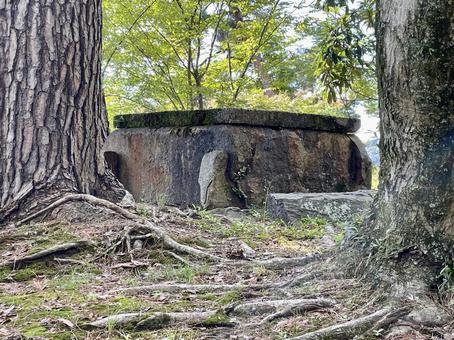 丹波亀山城址　井戸跡とされる石組 丹波亀山城址,城跡,井戸跡の写真素材