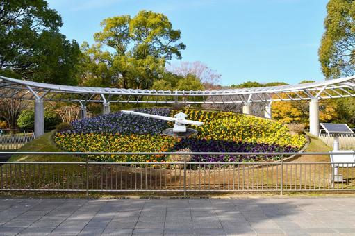 花時計 花時計,公園,花壇の写真素材