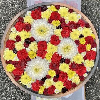 花手水 花手水 花手水,花,ガーデンの写真素材