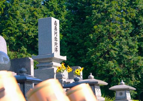 山、緑、ローアングル 山、緑、ローアングル 墓,山,木の写真素材