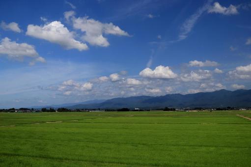 夏の田園風景と山並み 夏の田園風景と山並み 田園風景,山並み,水田の写真素材