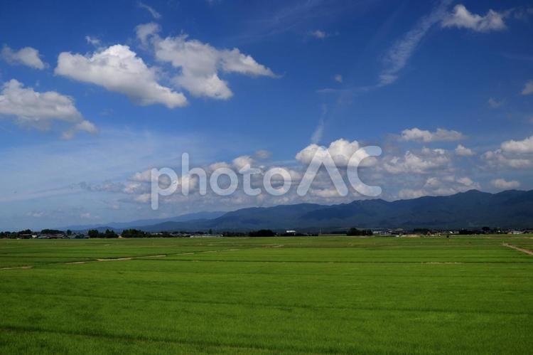夏の田園風景と山並み 田園風景,山並み,水田の写真素材