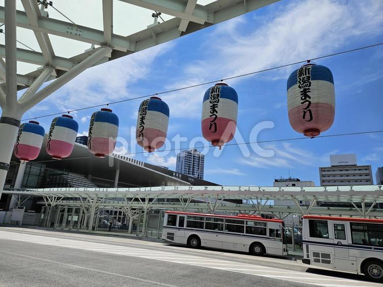 新潟まつりの提灯01 新潟まつり,提灯,ちょうちんの写真素材