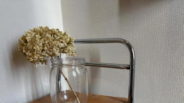 ドライフラワー アナベル ドライフラワー アナベルの写真