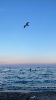 海 海の写真
